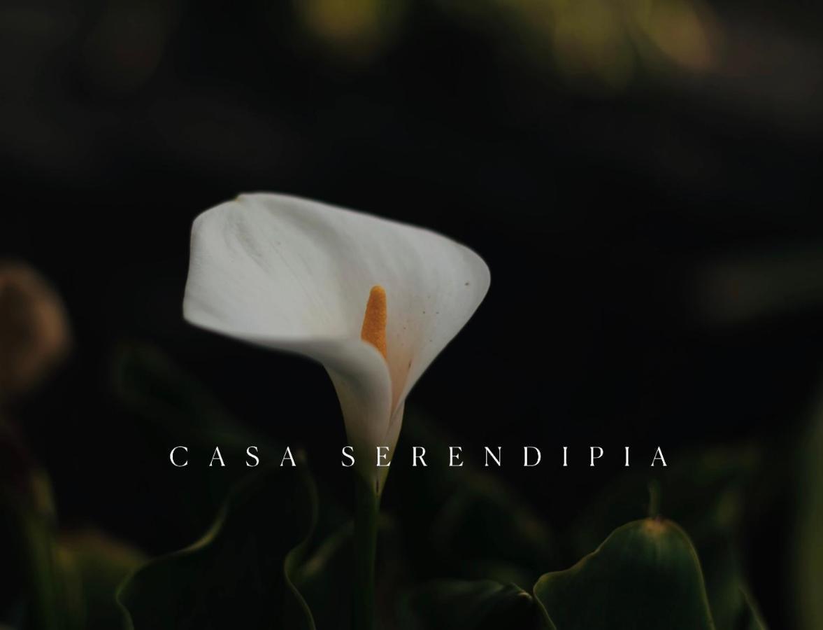 Casa Serendipia La Asomada  Exteriör bild